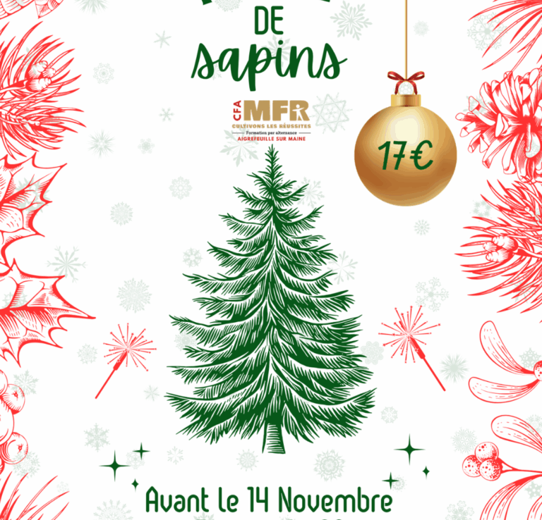 Vente de sapin